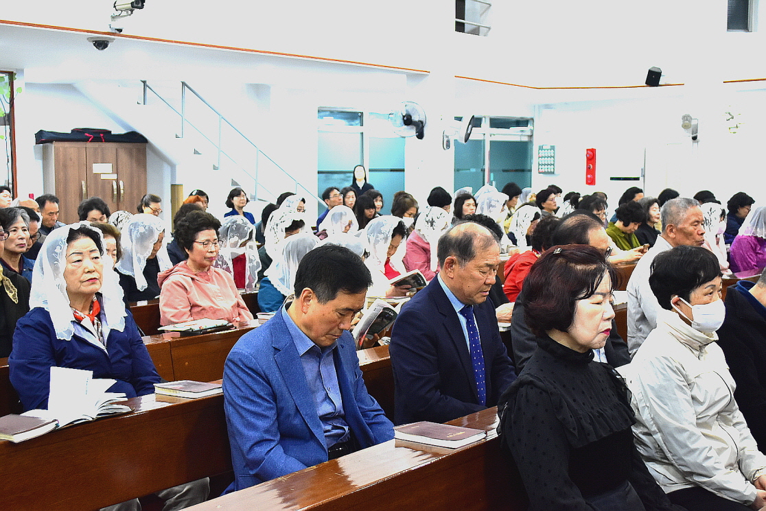 [꾸미기][꾸미기]DSC_0010.JPG