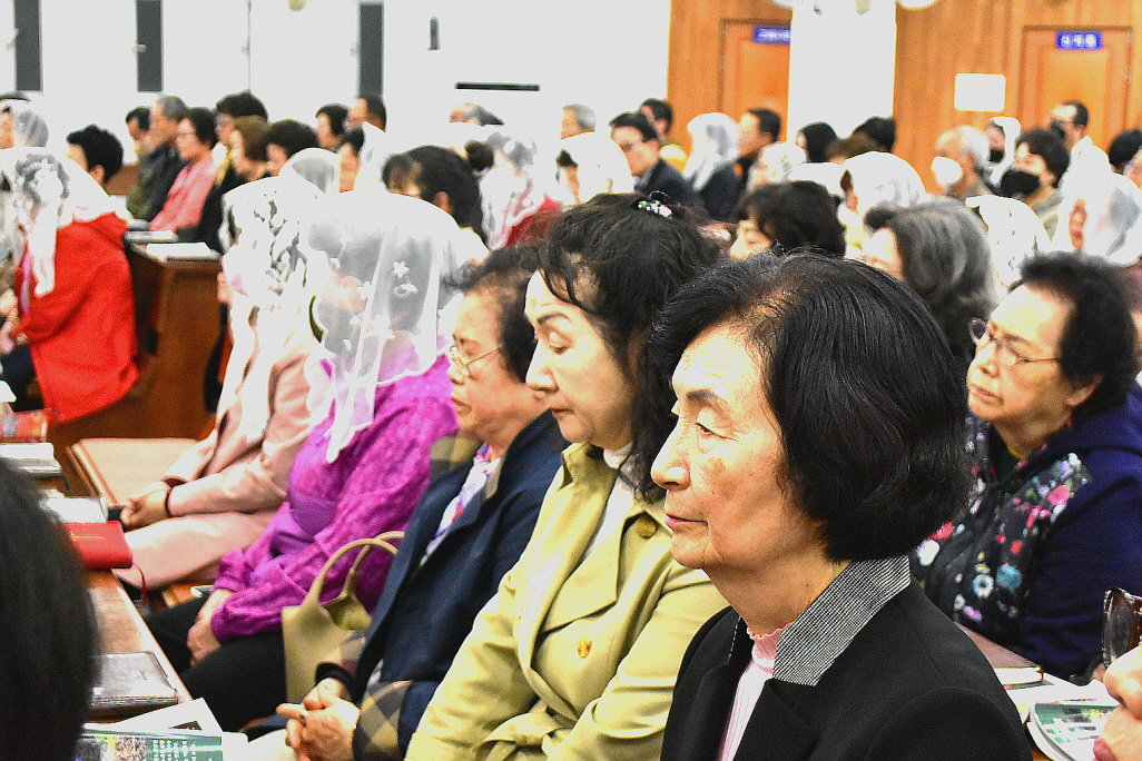 [꾸미기][꾸미기]DSC_0042.JPG