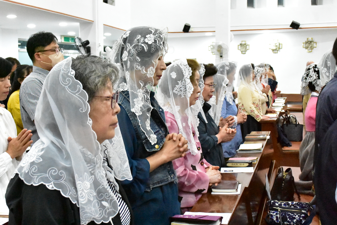 [꾸미기]DSC_0161.JPG