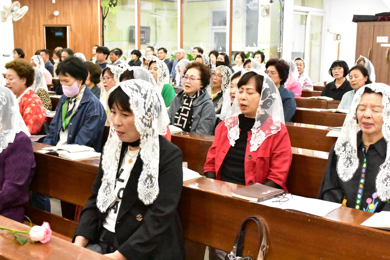 [꾸미기]DSC_0049.JPG