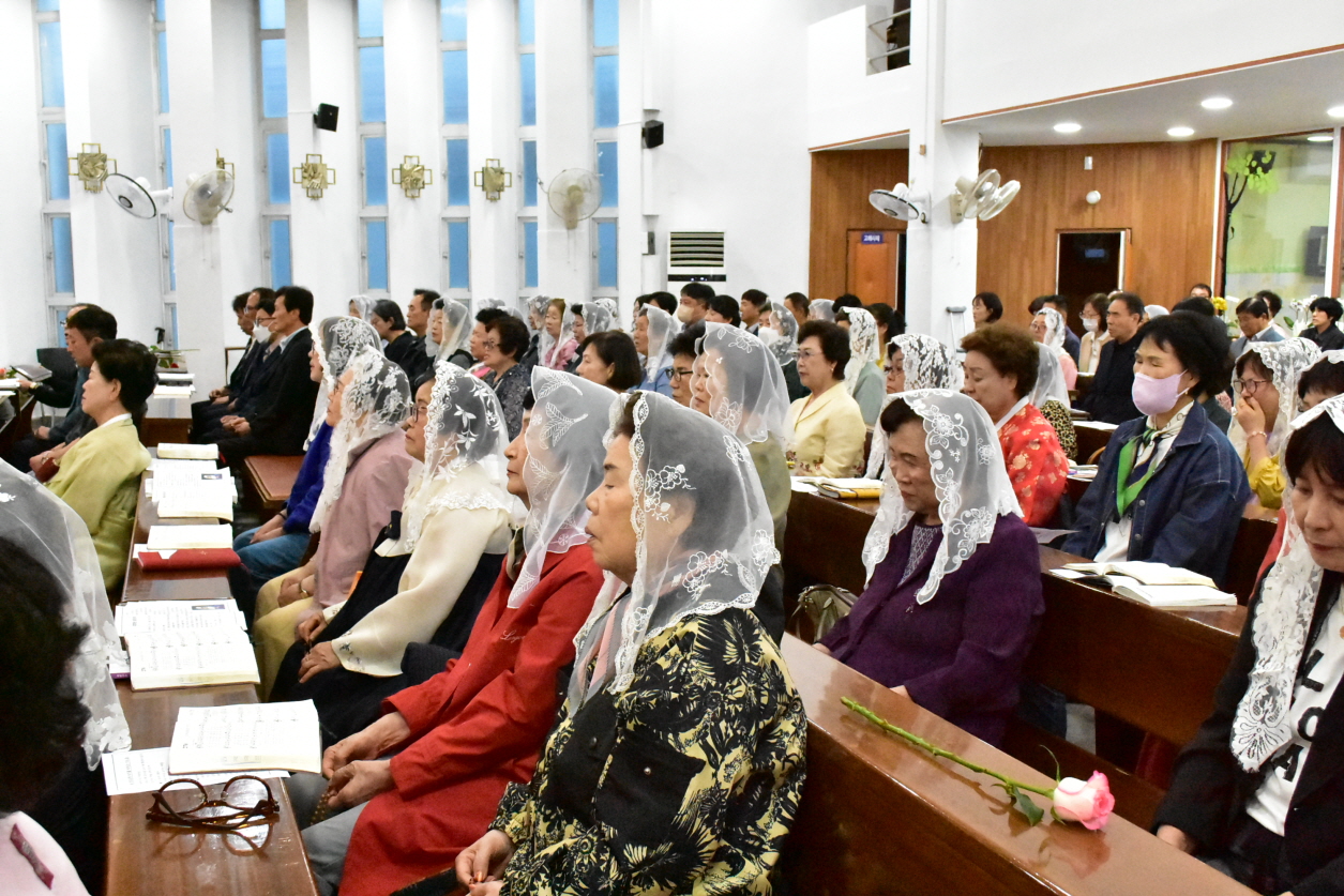 [꾸미기]DSC_0050.JPG