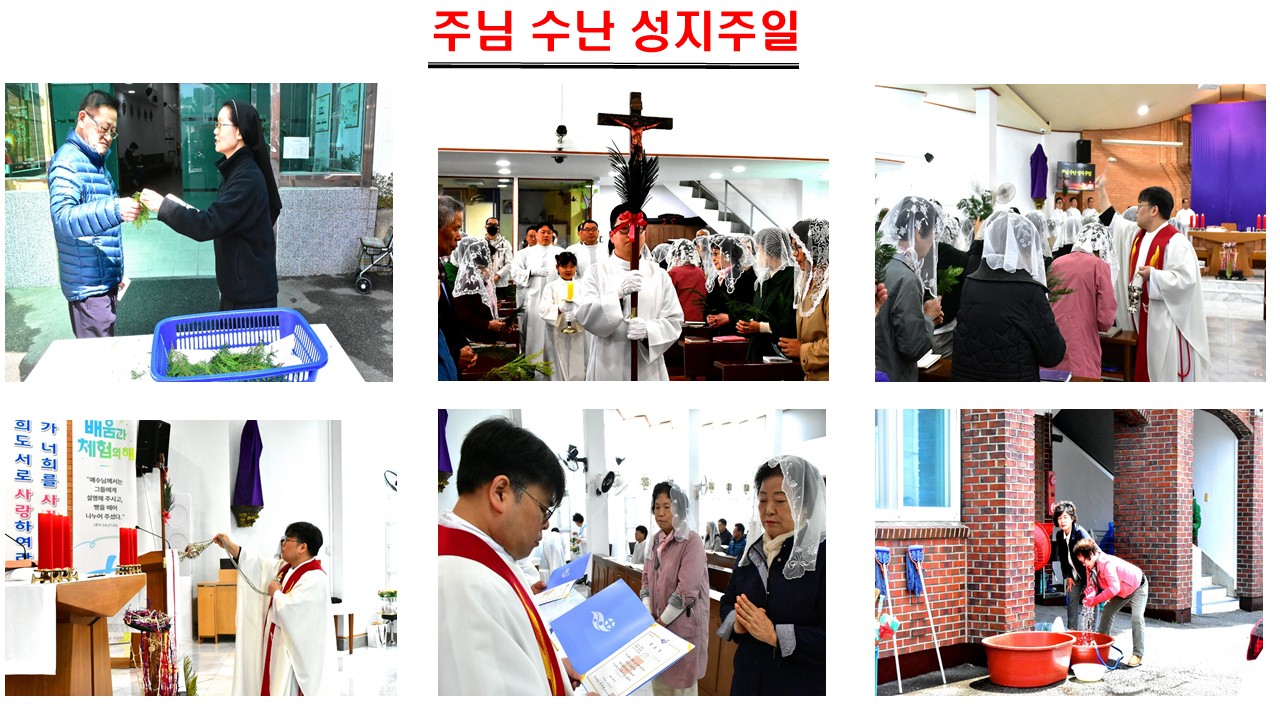 2025 주님수난성지주일.jpg