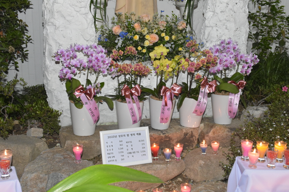 용량DSC_0321.JPG
