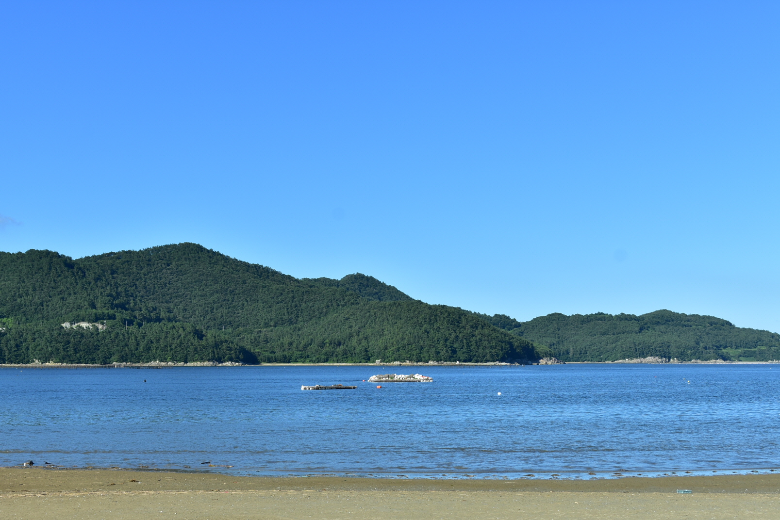 [꾸미기]DSC_0203.JPG