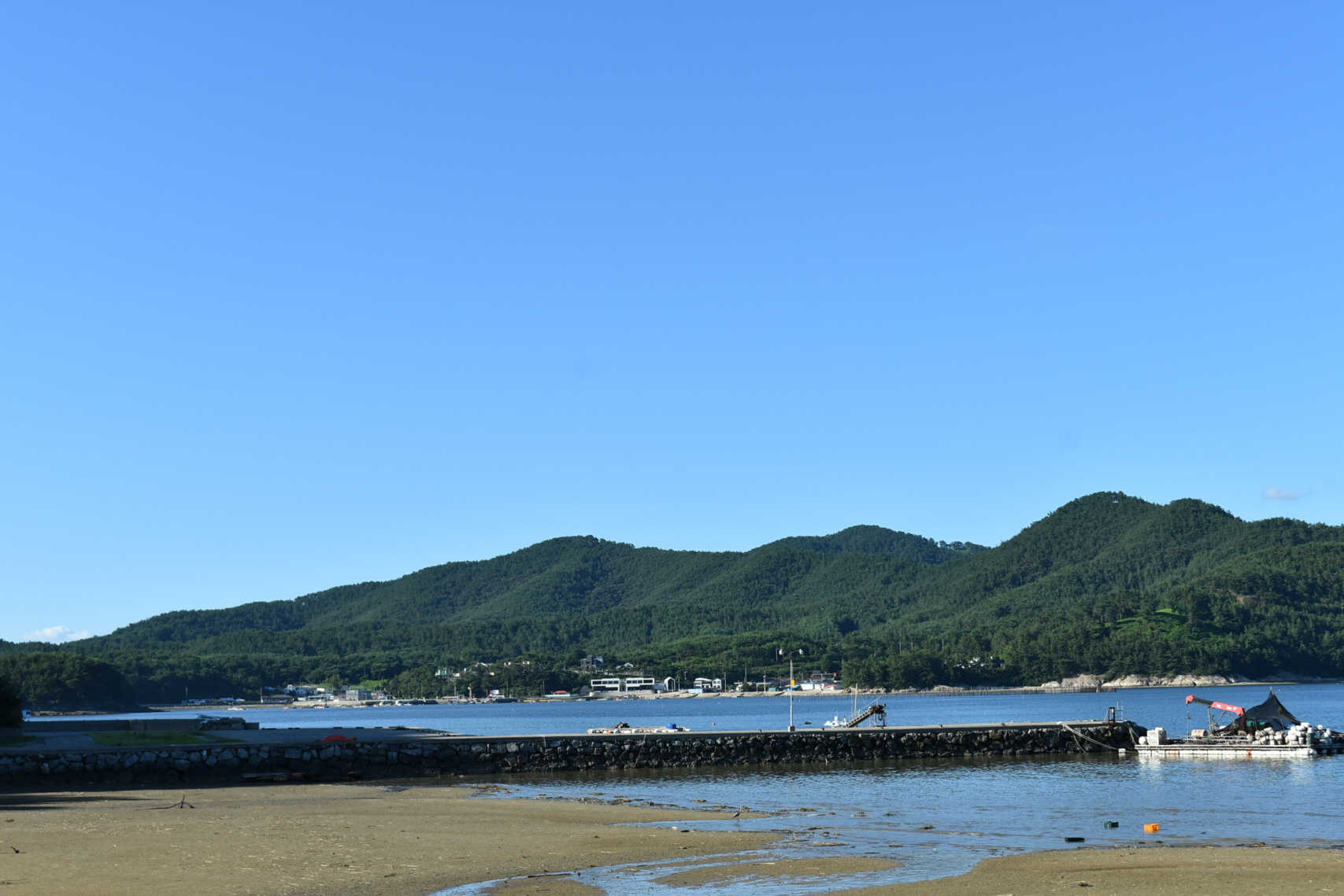 [꾸미기]DSC_0206.JPG