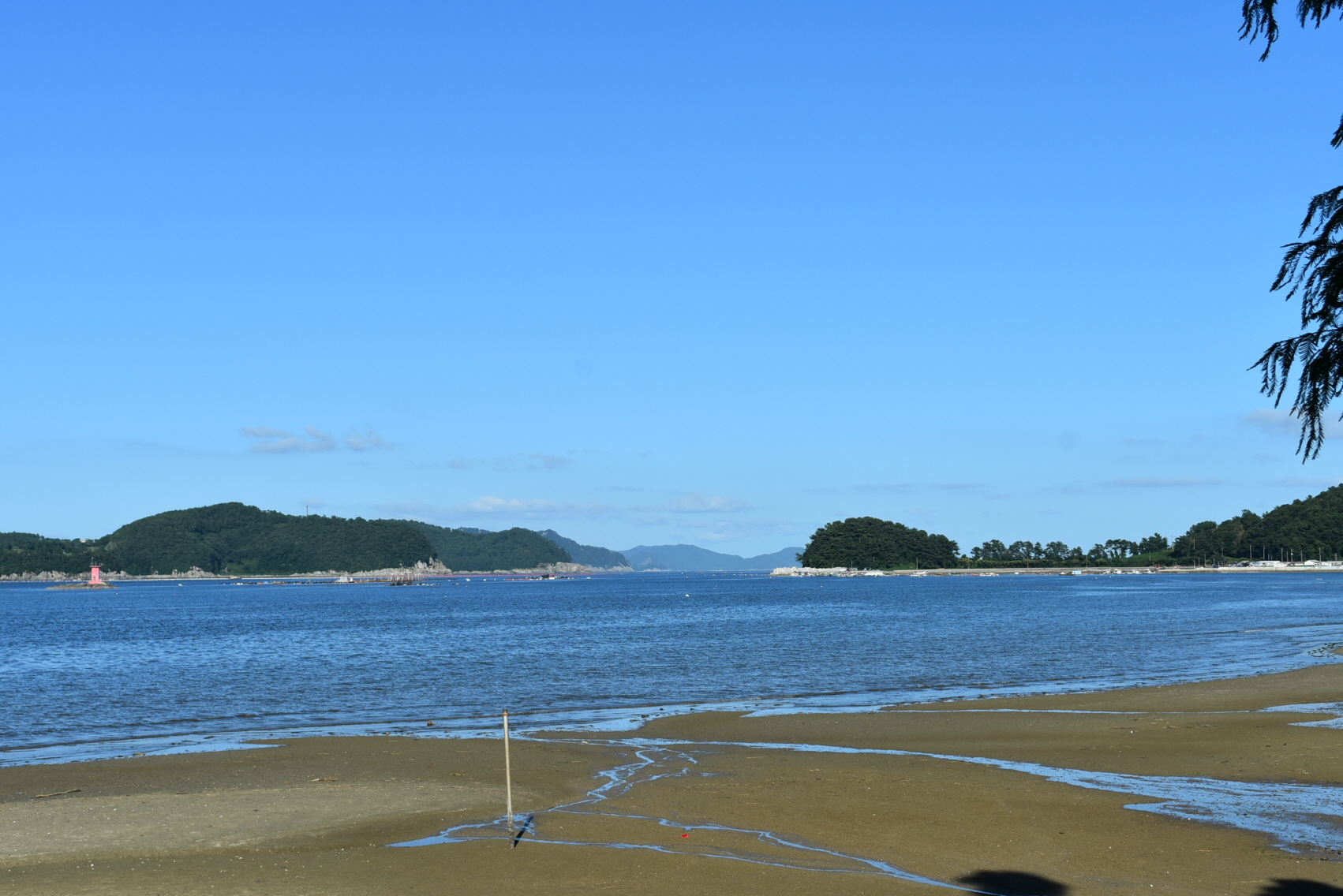 [꾸미기]DSC_0204.JPG