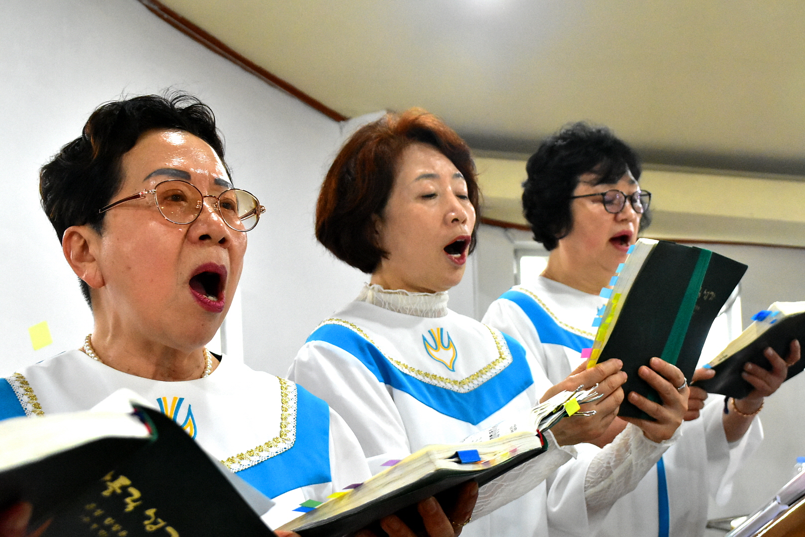 [꾸미기]DSC_0098.JPG