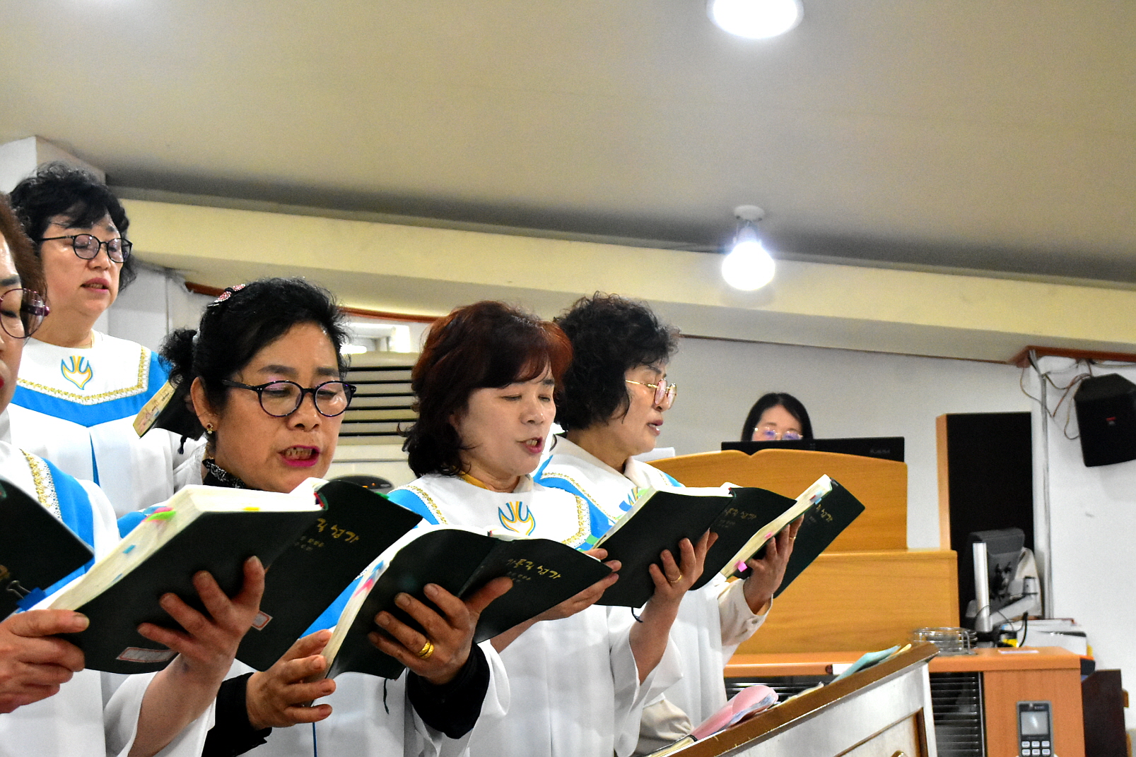 [꾸미기]DSC_0092.JPG
