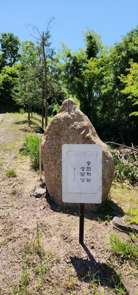 KakaoTalk_20240515_171338515_19.jpg