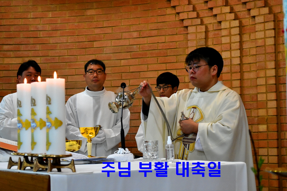 용량DSC_0060.JPG