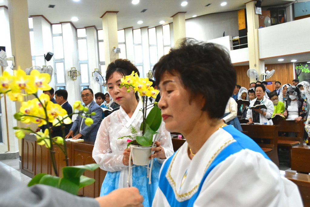 용량DSC_0041.JPG