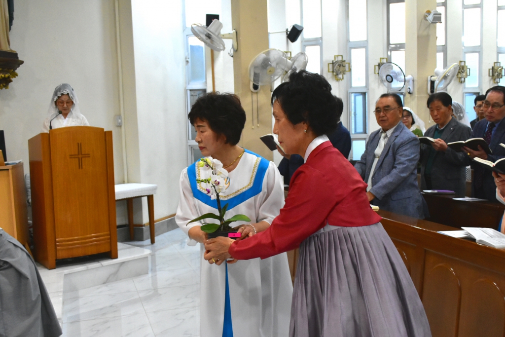 용량DSC_0027.JPG