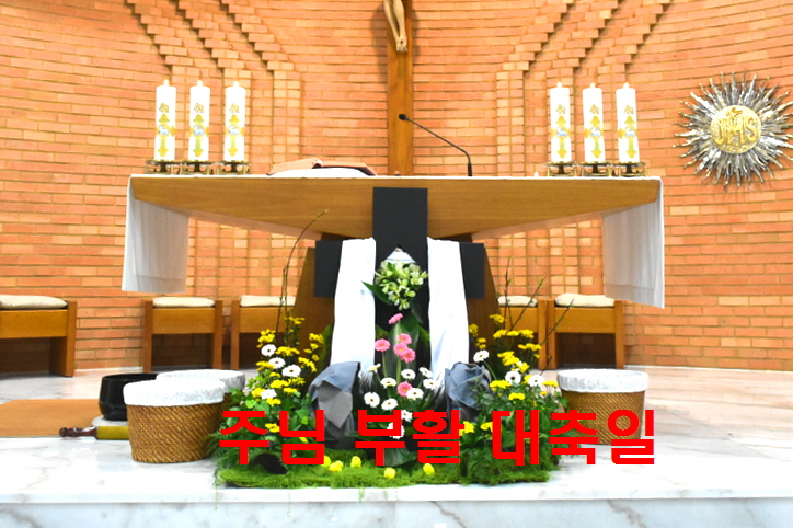 용량DSC_0195.JPG