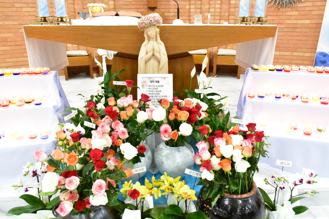 [꾸미기]DSC_0248.JPG