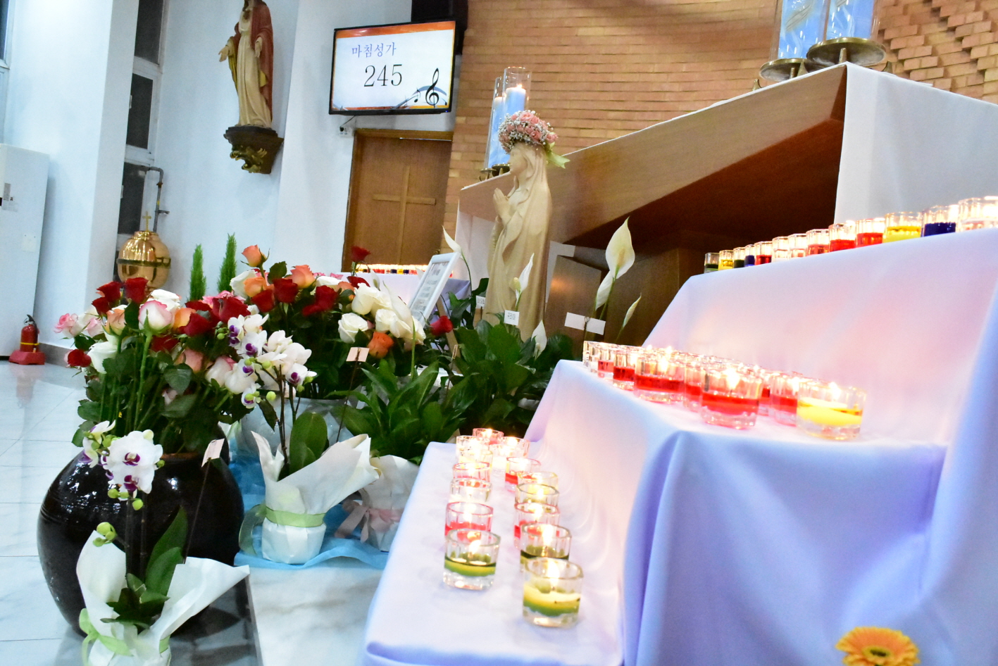 [꾸미기]DSC_0252.JPG