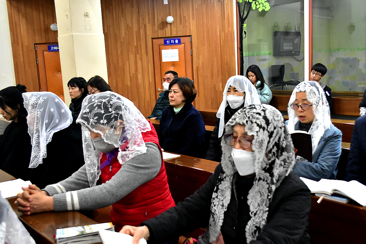 용량DSC_0117.JPG