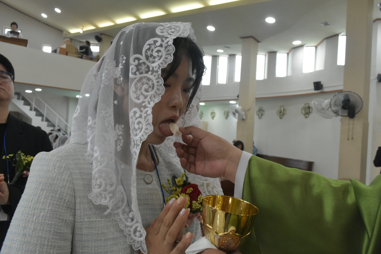 용량DSC_0237.JPG