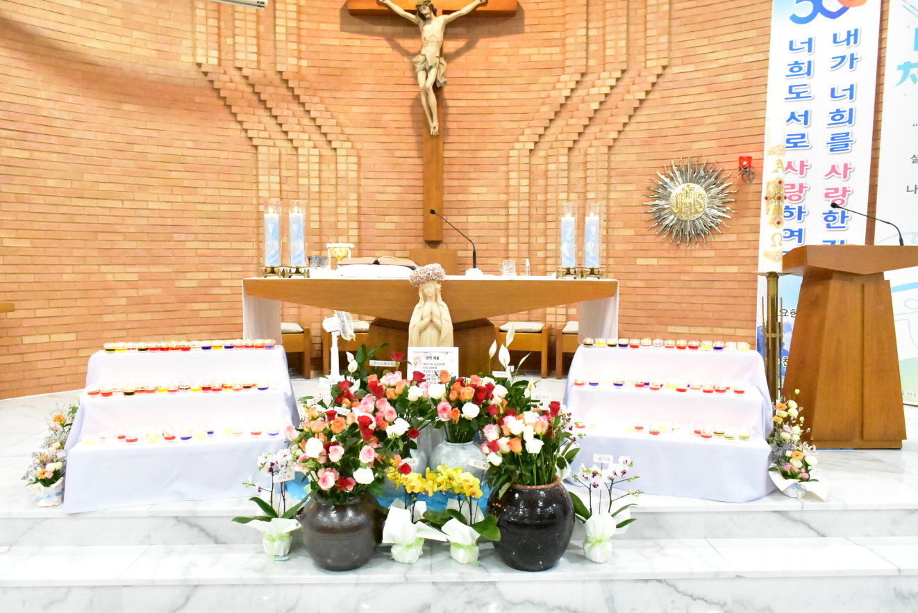 [꾸미기]DSC_0244.JPG