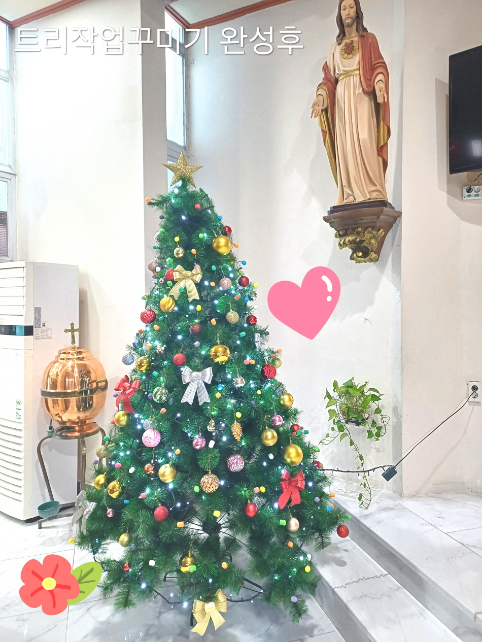성전성전KakaoTalk_20241130_184417145.jpg