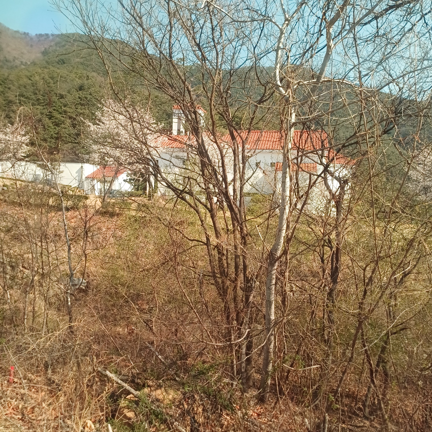 KakaoTalk_20250408_180326266_05.jpg