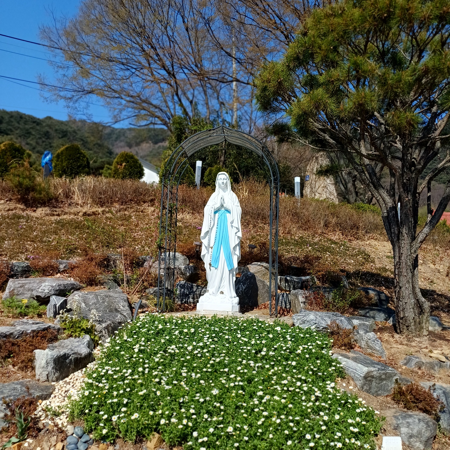 KakaoTalk_20250408_180326266_01.jpg