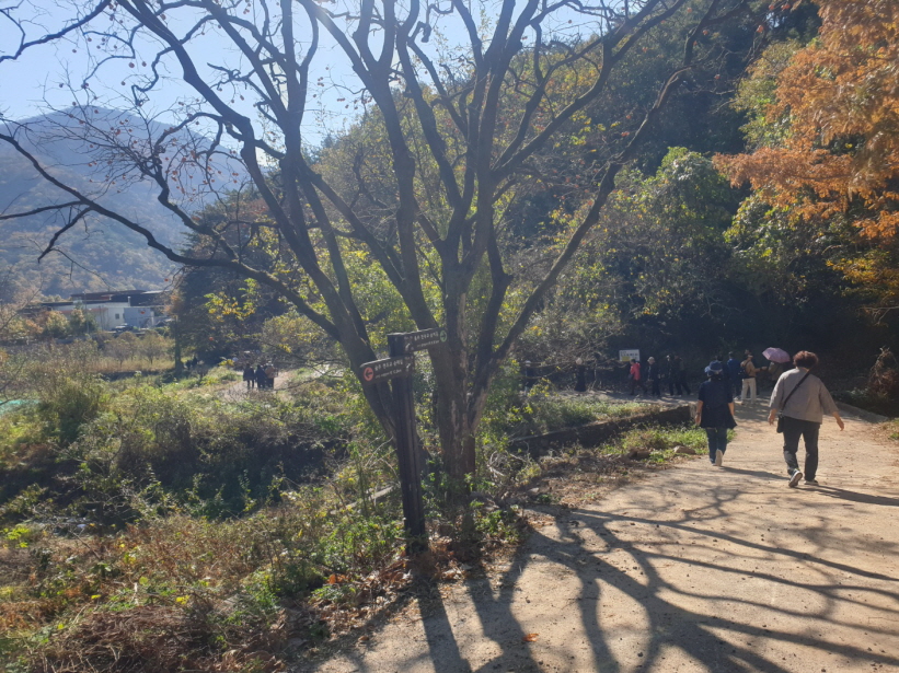 용량KakaoTalk_20231113_112448218_03.jpg