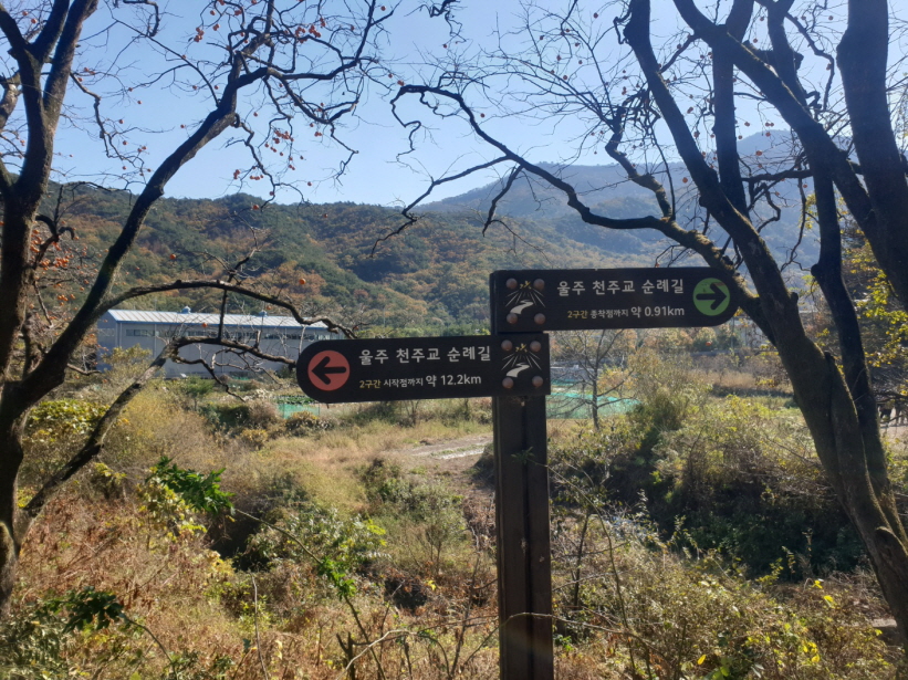 용량KakaoTalk_20231113_112448218_02.jpg