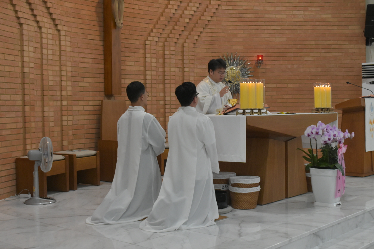 용량DSC_0044.JPG