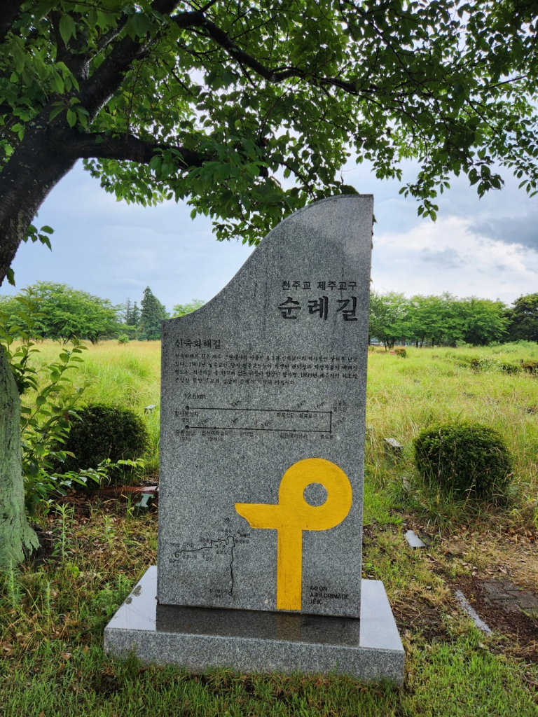 1719102565907.jpg