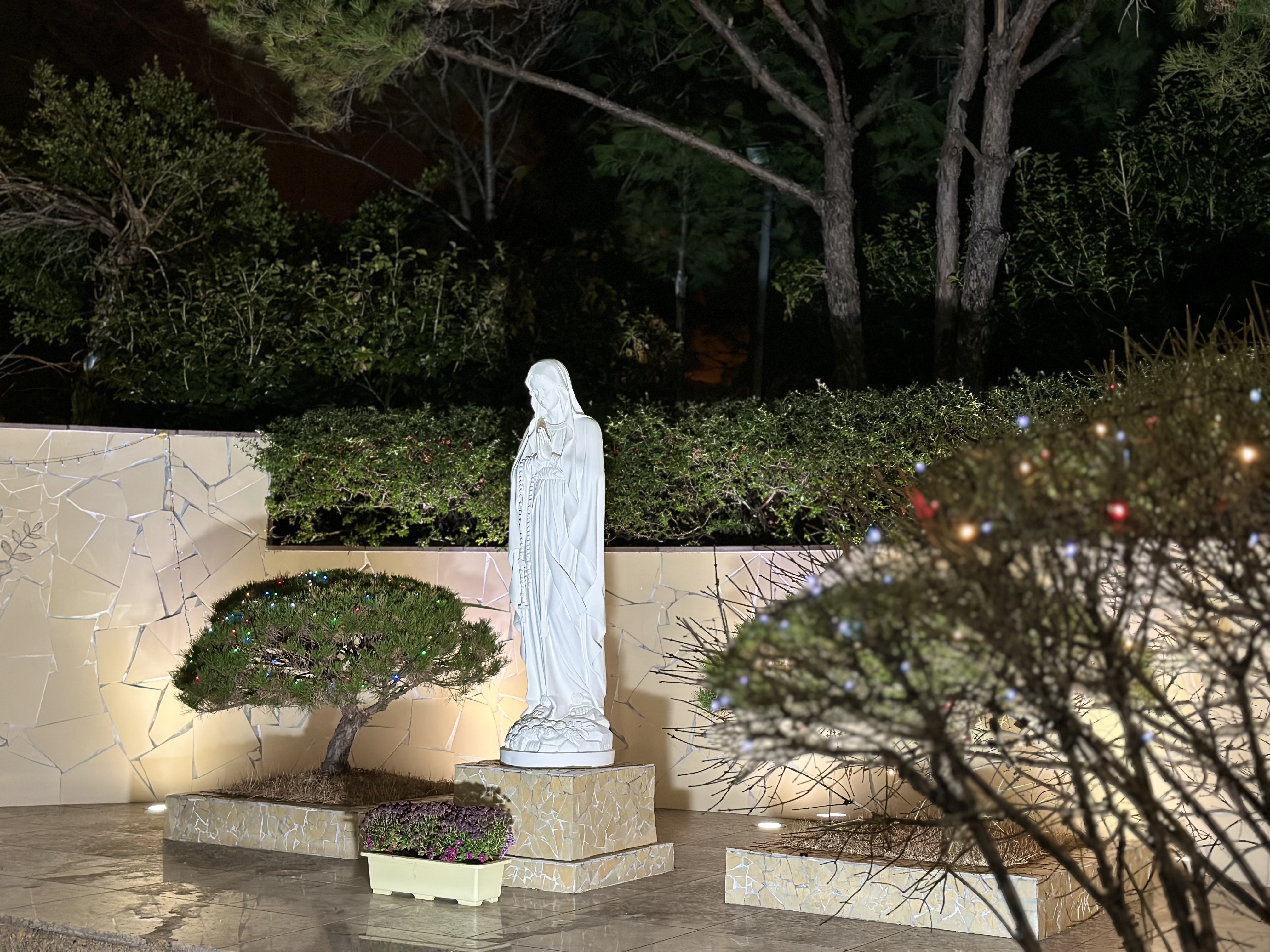 KakaoTalk_20241231_004139113_28.jpg