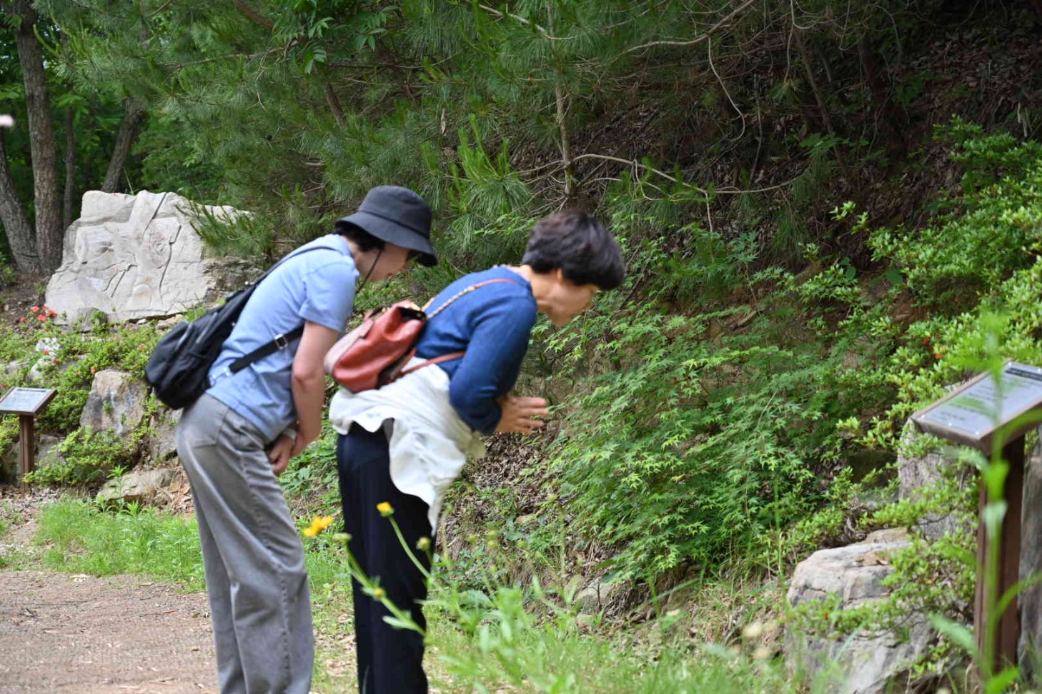 2024_05_21 성모회 야유회 언양성당 (11).jpg