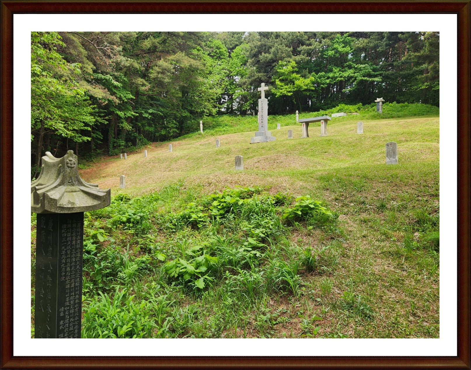 KakaoTalk_20250519_172237577_23.jpg
