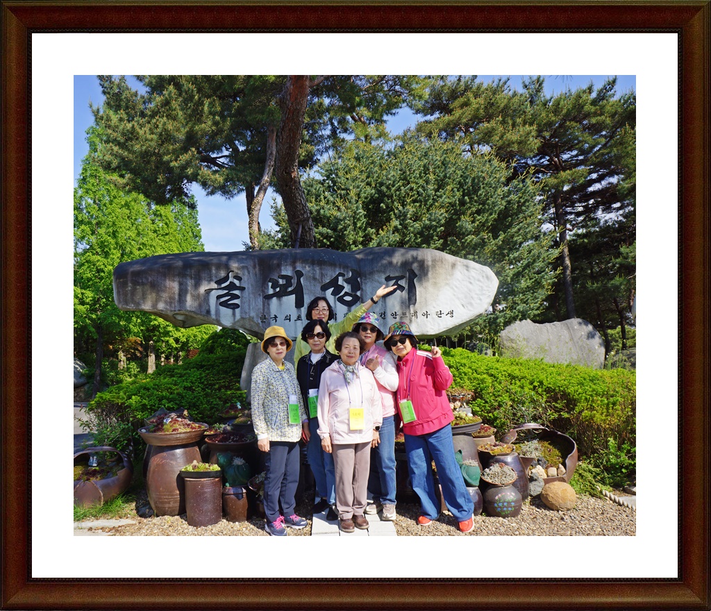 DSC03586.JPG