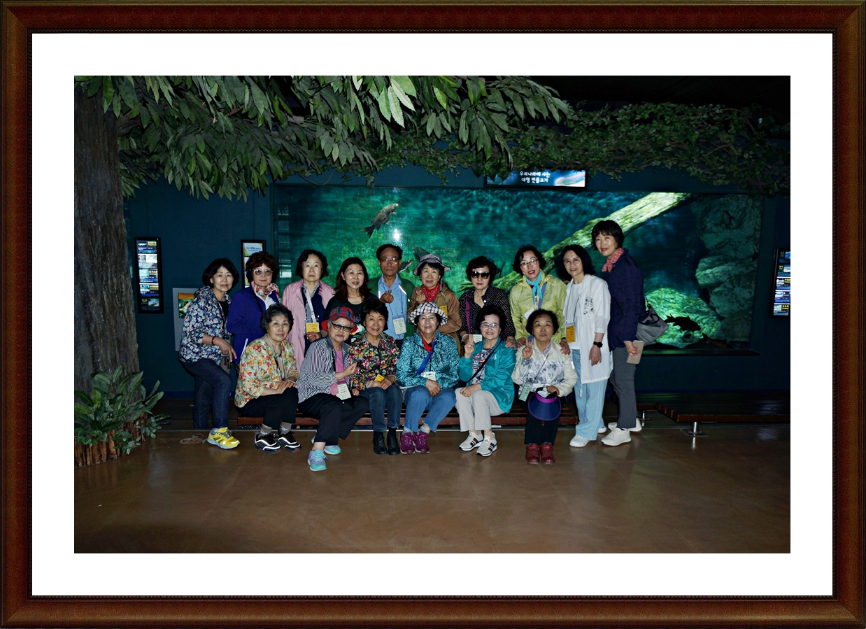DSC06815.JPG