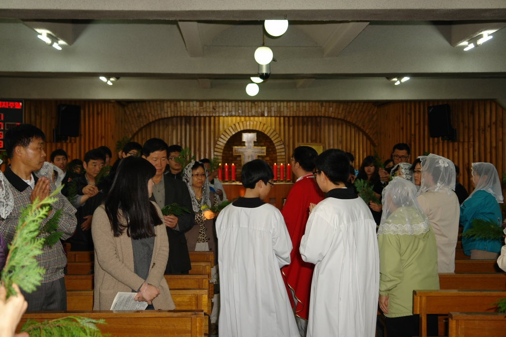 DSC07682.JPG