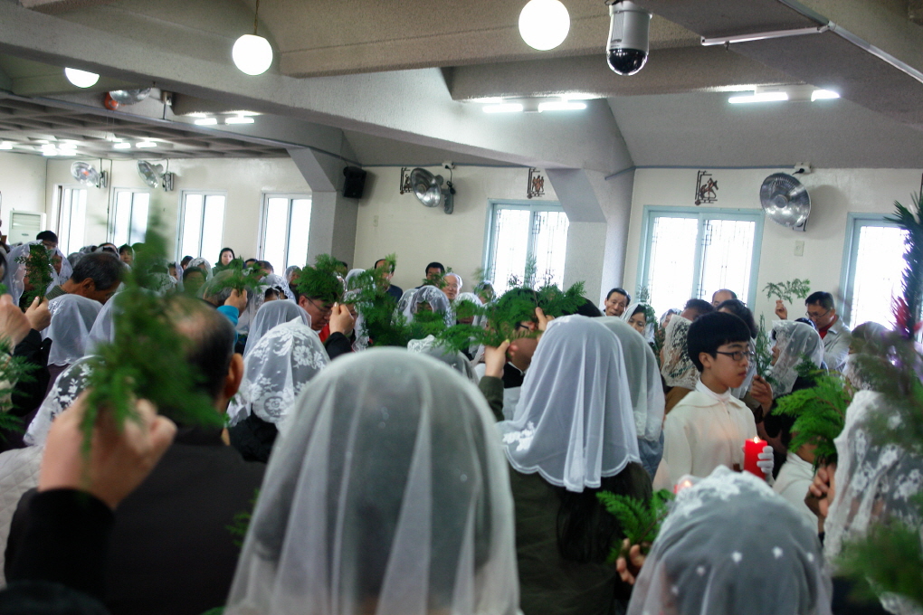 DSC09073.JPG