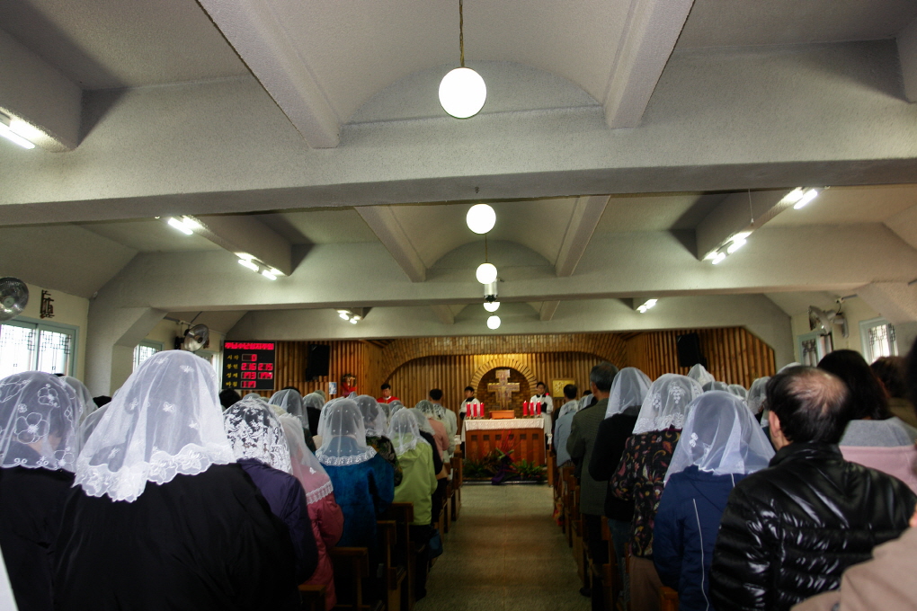 DSC09080.JPG