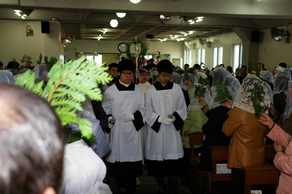 DSC09072.JPG