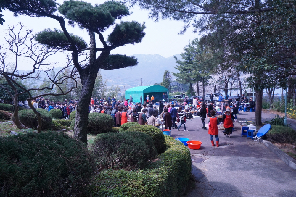 20180401151453-p-1DSC00782.jpg