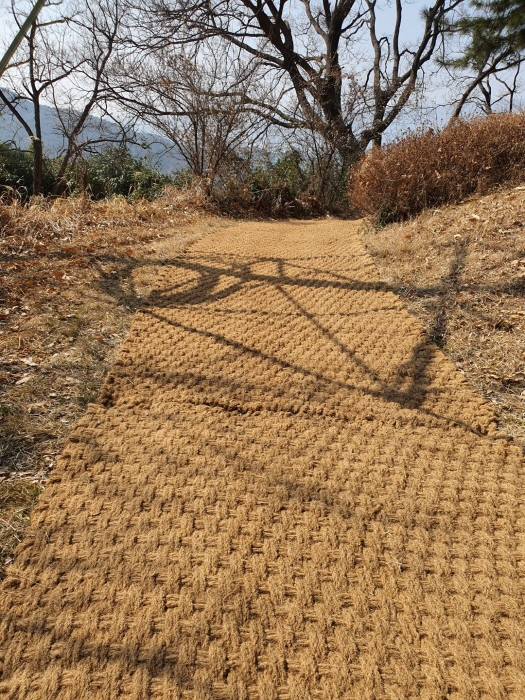 dxuxSOnpjEQJUHrKN01C.jpg