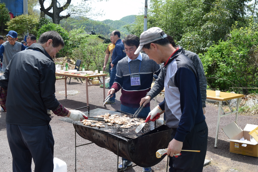 20170419071959-542.jpg