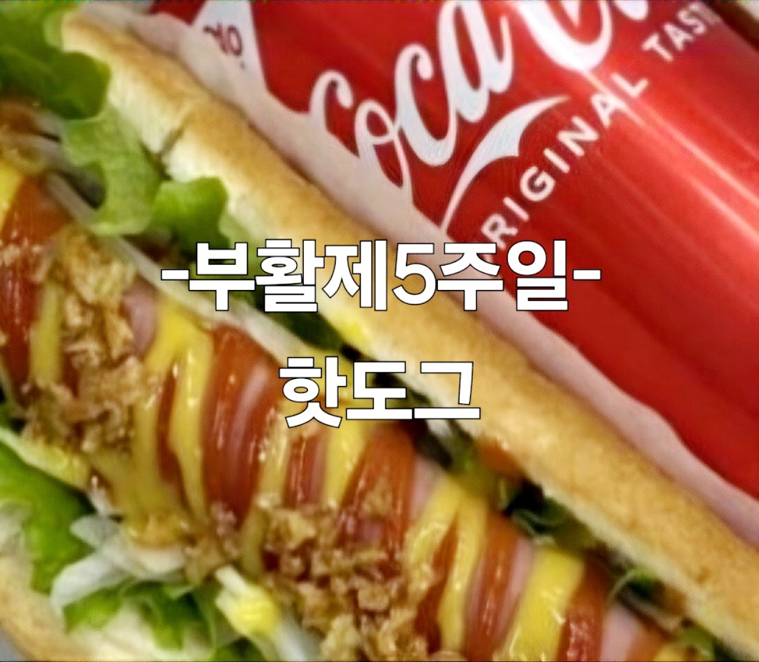 KakaoTalk_20240505_081703531.jpg