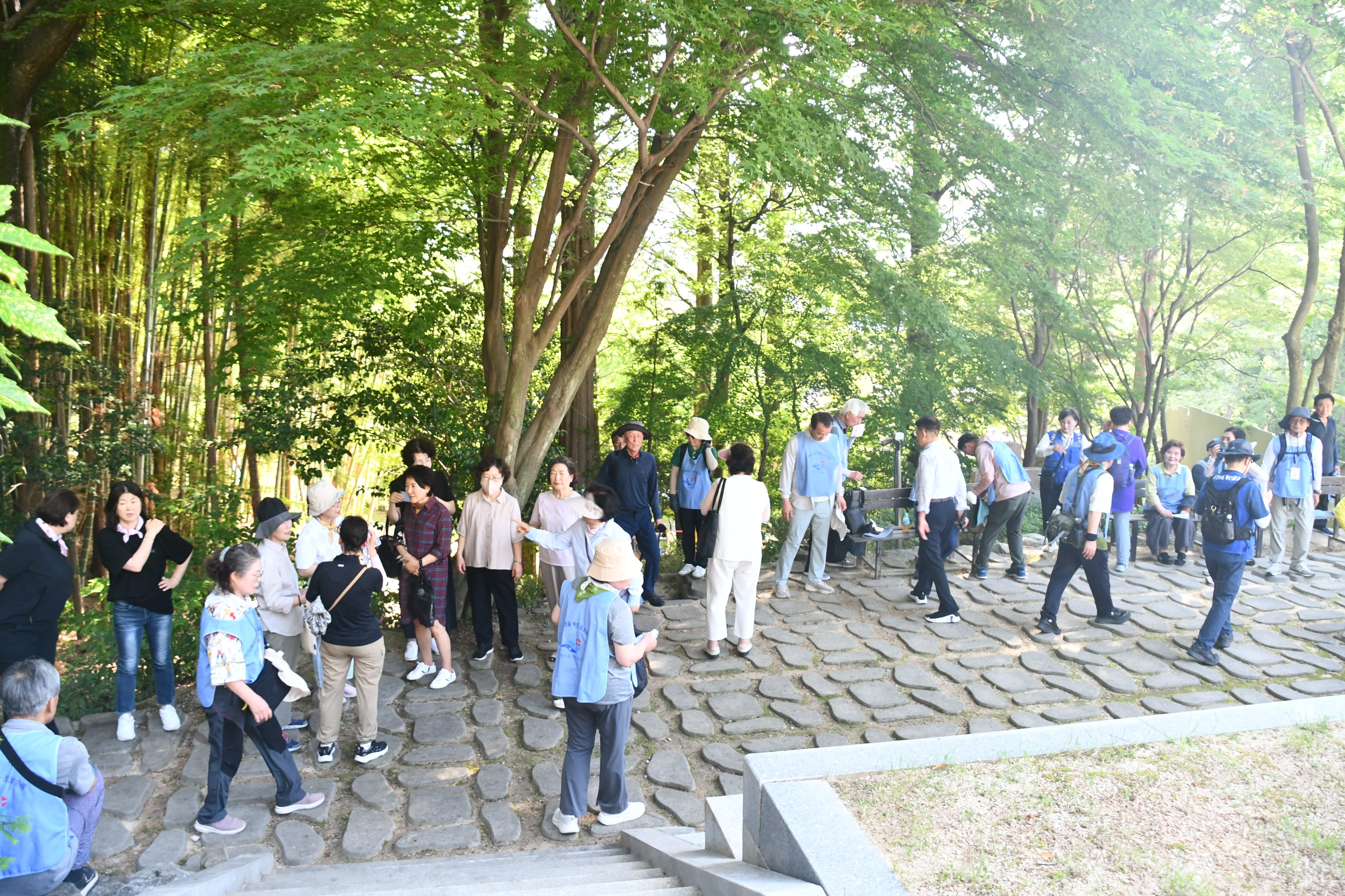 KakaoTalk_20250706_195459536_01.jpg
