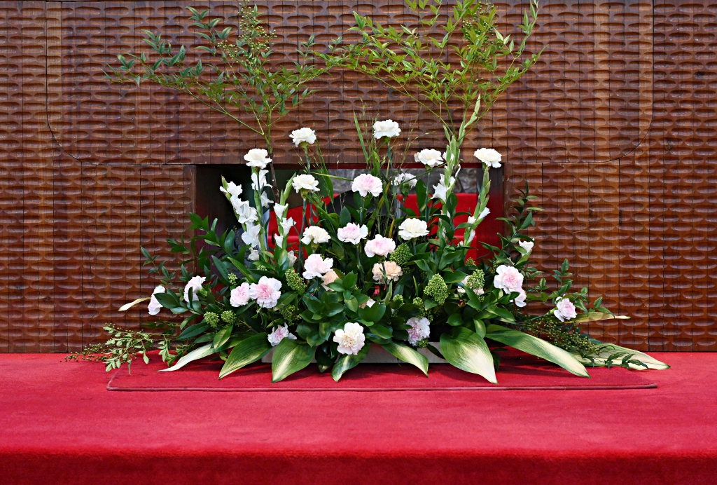 DSC_3076.jpg
