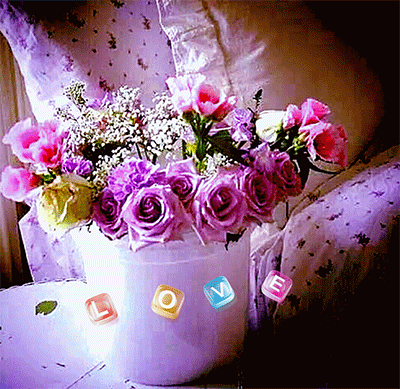 KakaoTalk_20250711_110434266.gif