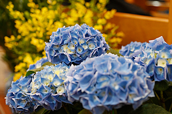 DSC_5201.jpg