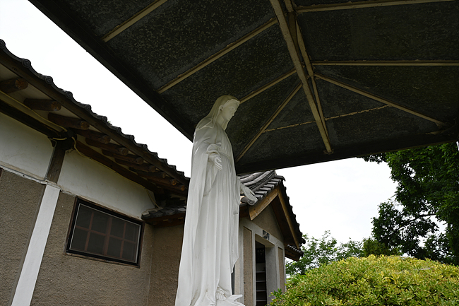 DSC_8956.jpg