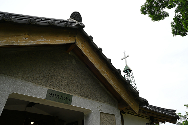 DSC_8975.jpg