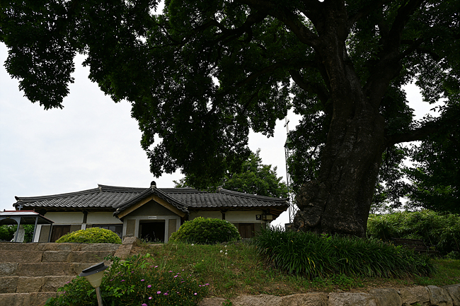 DSC_9094.jpg