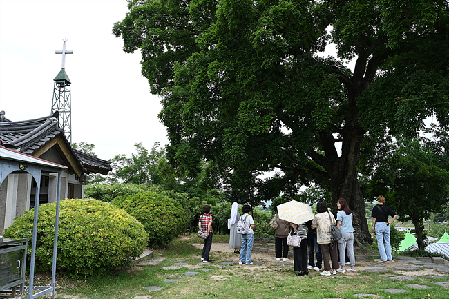 DSC_8953.jpg